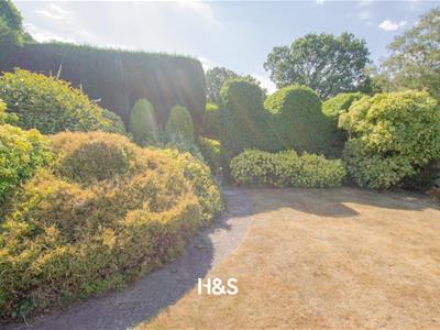 Picture 21
